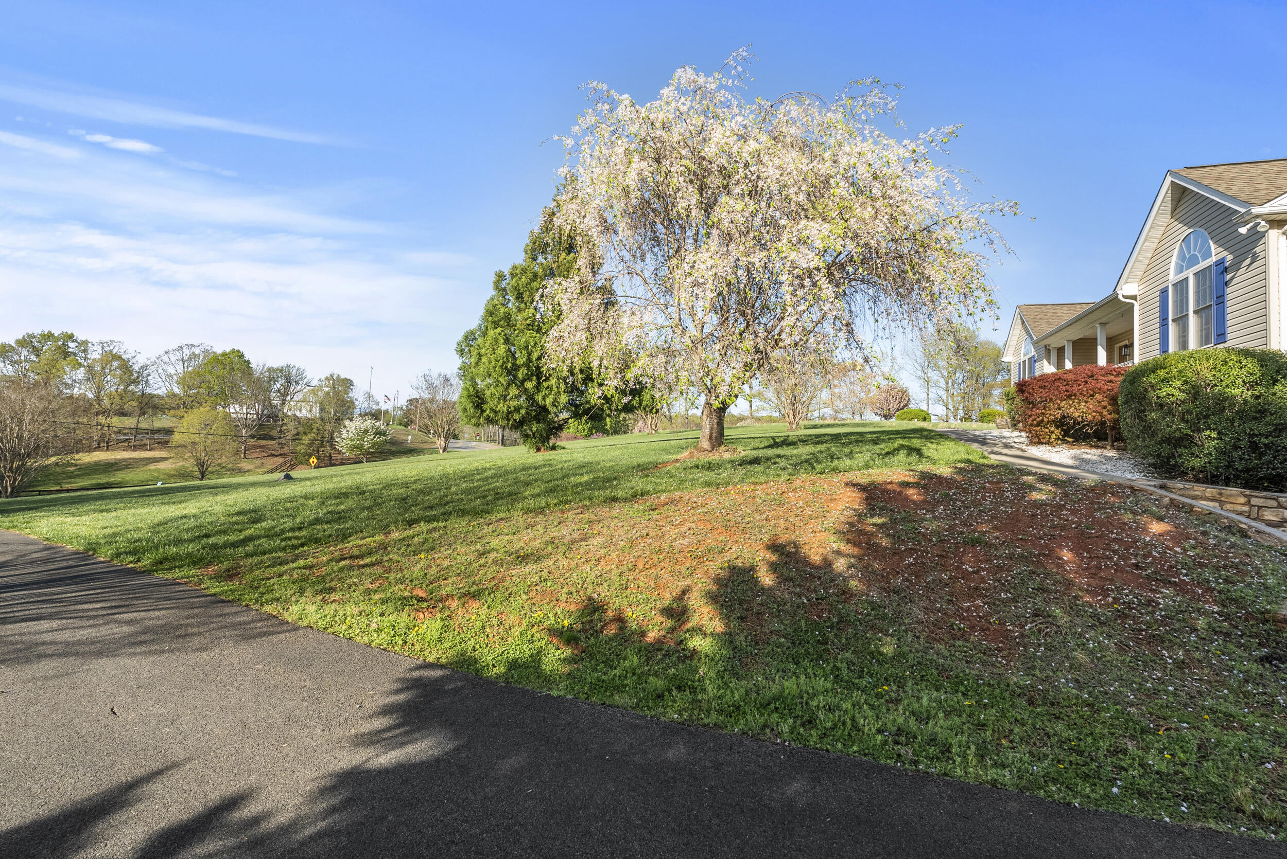 3676 Horseshoe Bend Rd, Goodview, Virginia image 7