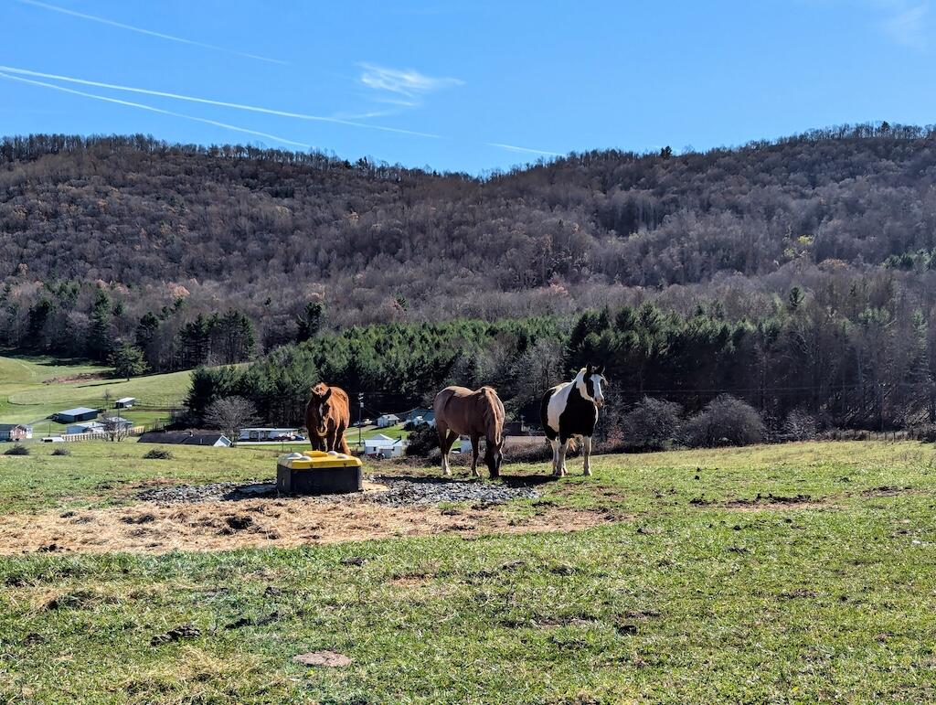 TBD Floyd Hwy, Willis, Virginia image 9