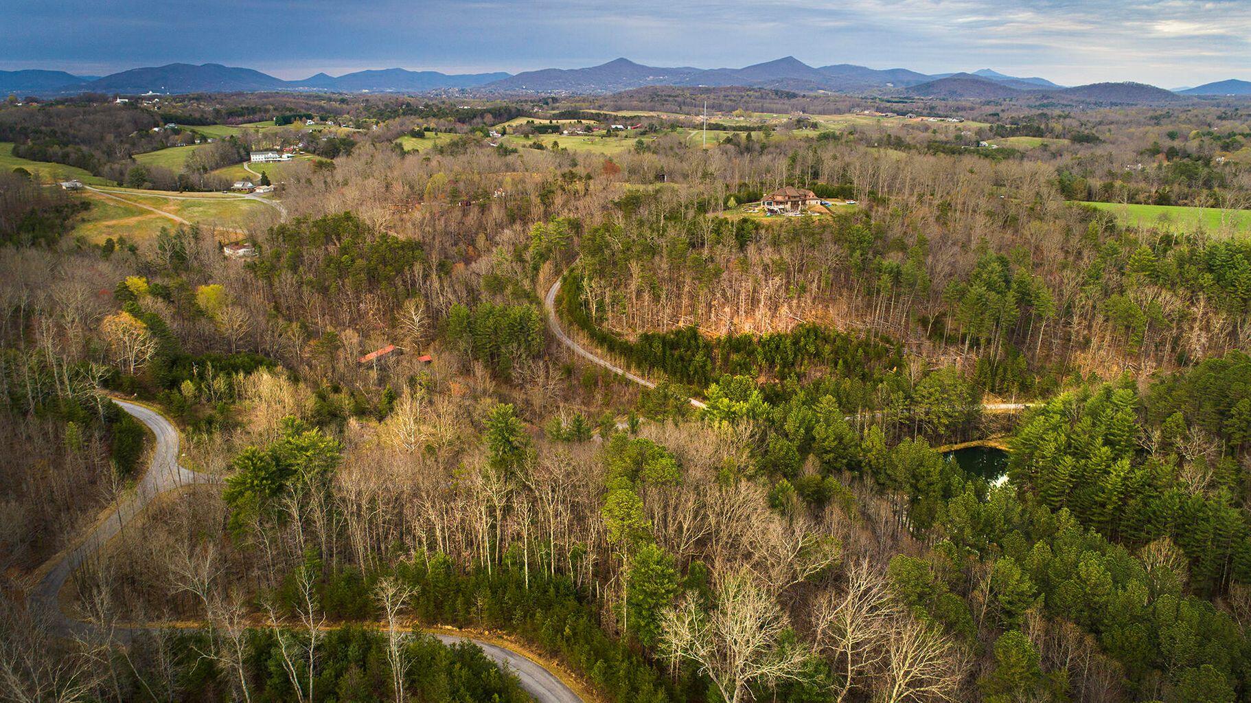 Tall Pine Ln, Roanoke, Virginia image 22