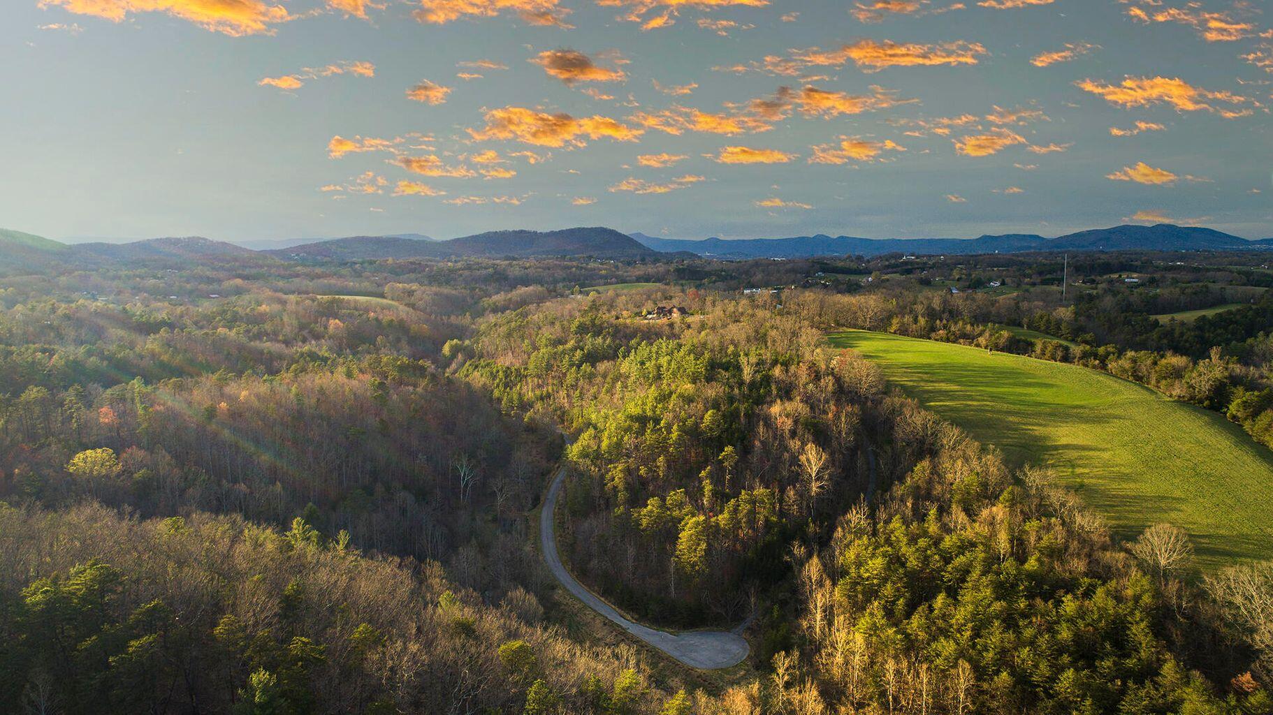 Tall Pine Ln, Roanoke, Virginia image 18