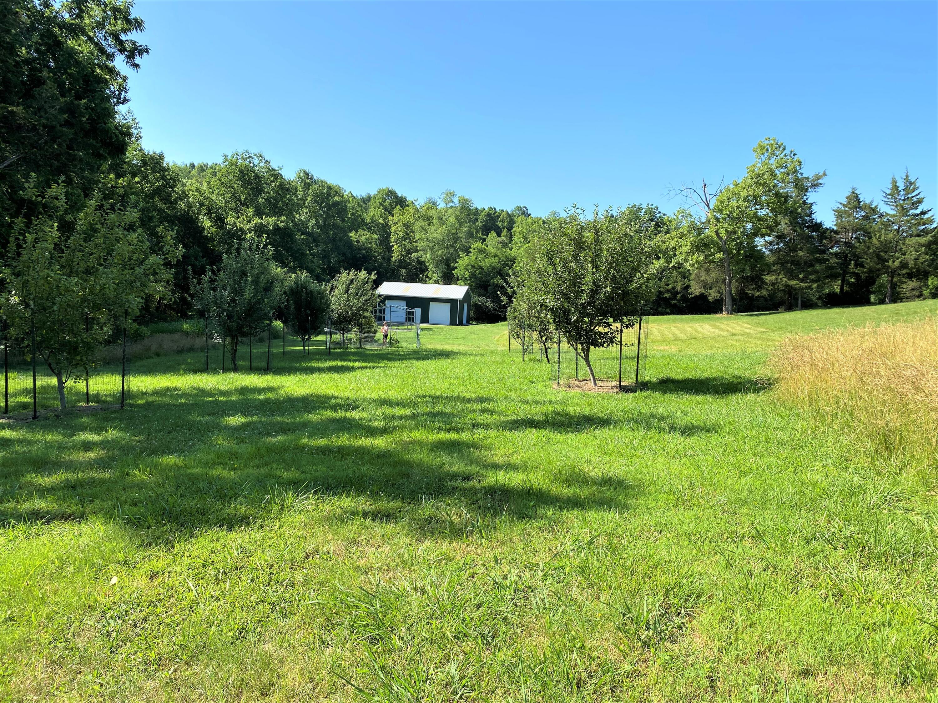 1310 Nuckolds Rd, Huddleston, Virginia image 18