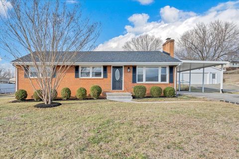 Homes For Sale - 37 Springview Ct<br/> Troutville, VA 24175