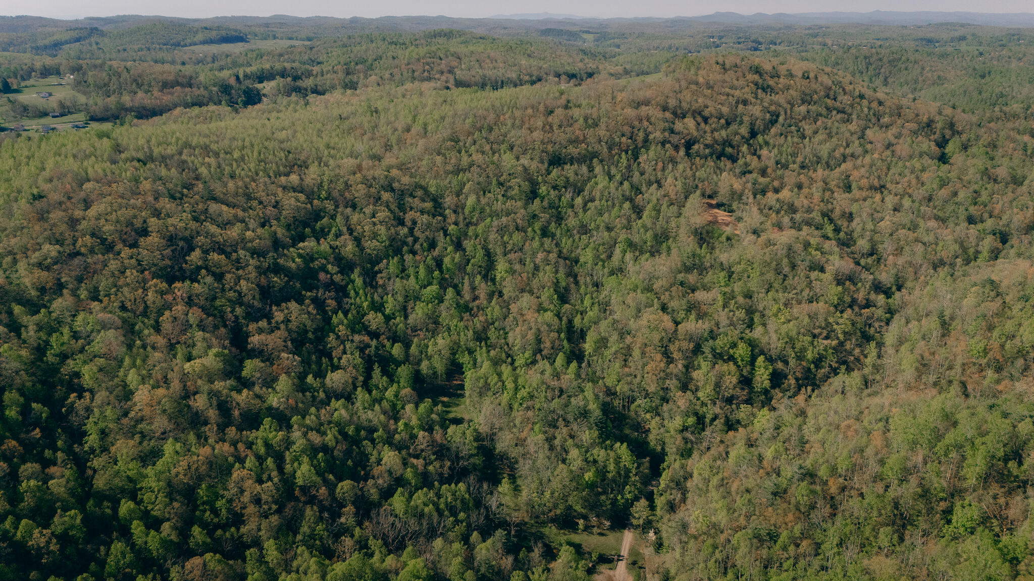 8270 Twin Falls Rd, Copper Hill, Virginia image 8