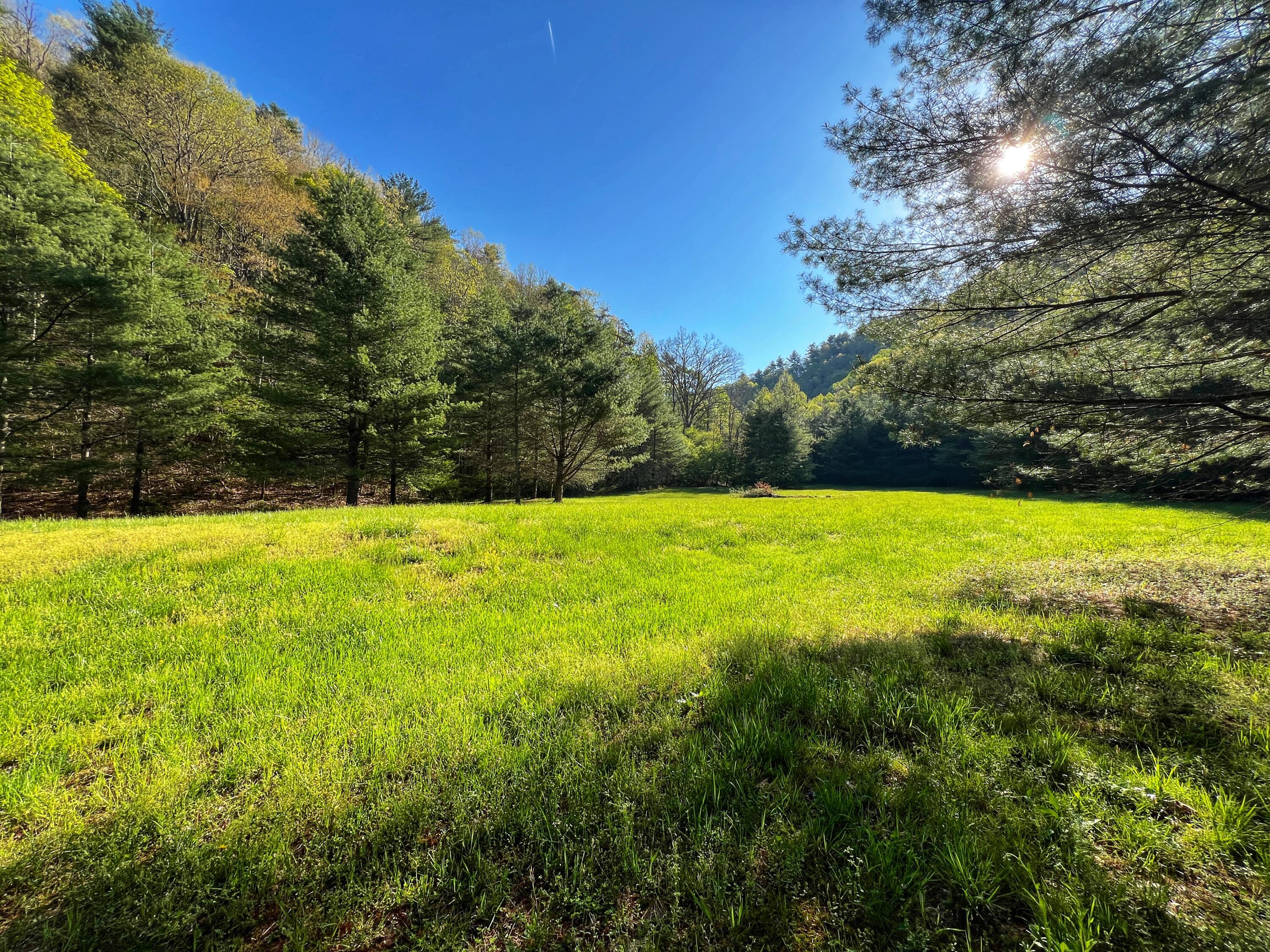 8270 Twin Falls Rd, Copper Hill, Virginia image 19