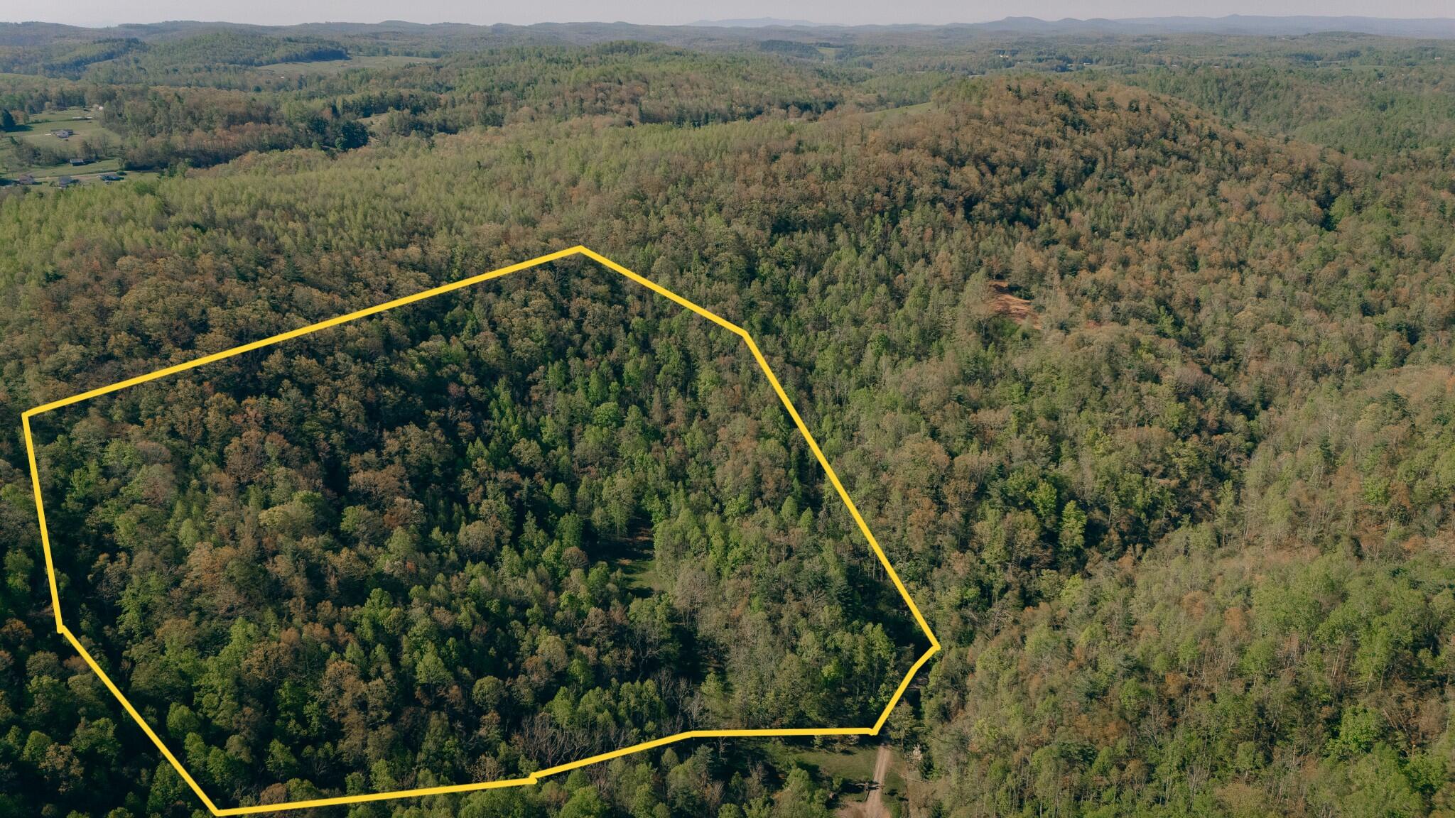 8270 Twin Falls Rd, Copper Hill, Virginia image 27