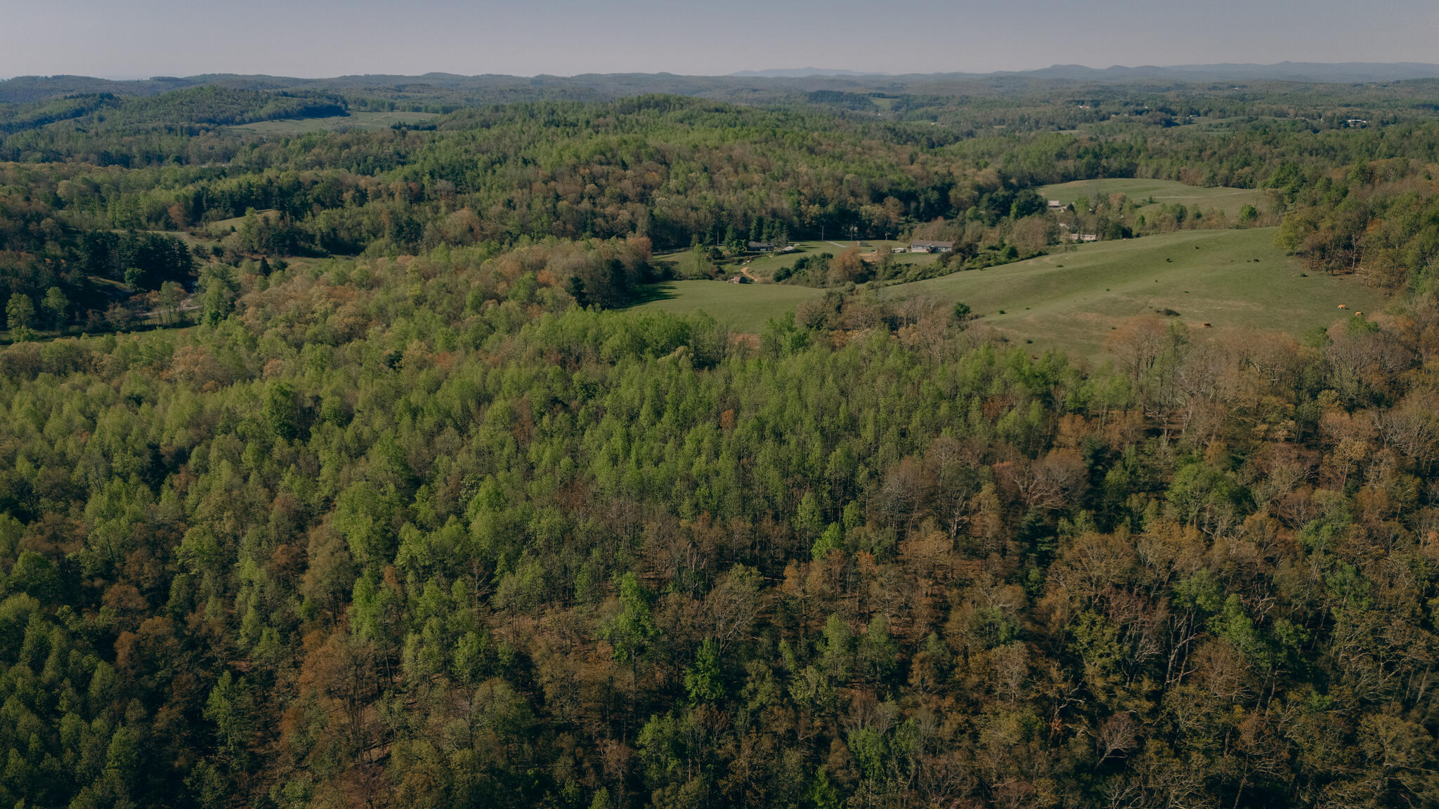 8270 Twin Falls Rd, Copper Hill, Virginia image 12