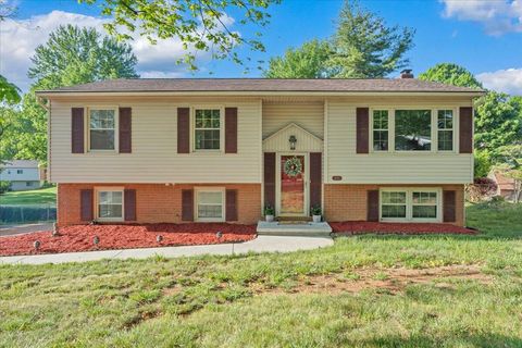 Homes For Sale - 3850 Bower Rd<br/> Roanoke, VA 24018