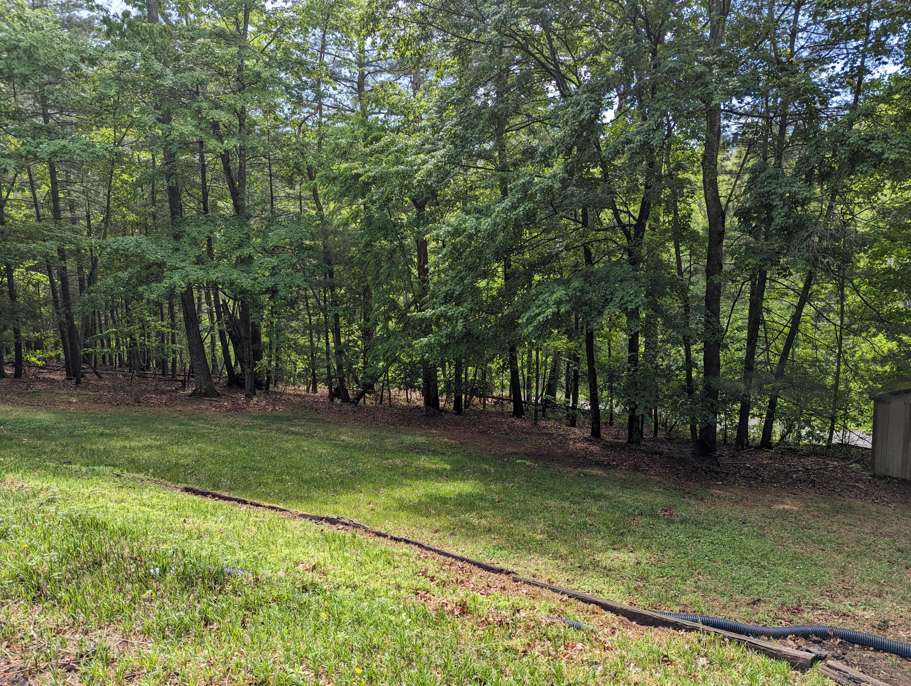 51 Crestwood Cir, Boones Mill, Virginia image 49