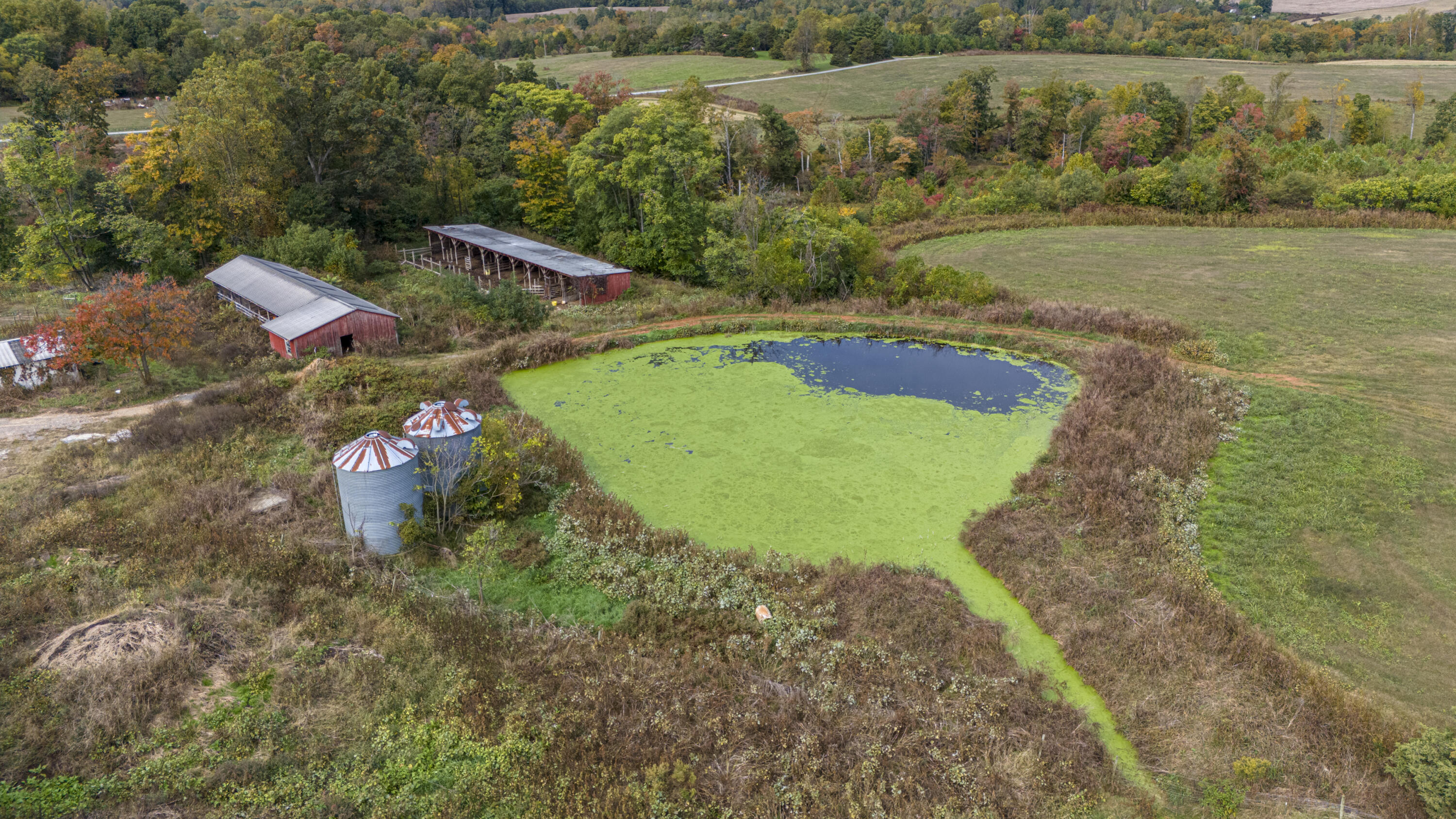 9961 Falling Creek Rd, Huddleston, Virginia image 7