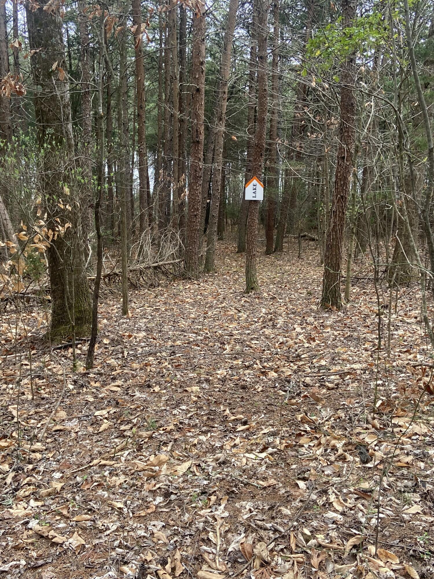 Lot 123 Island Point Dr, Gretna, Virginia image 7