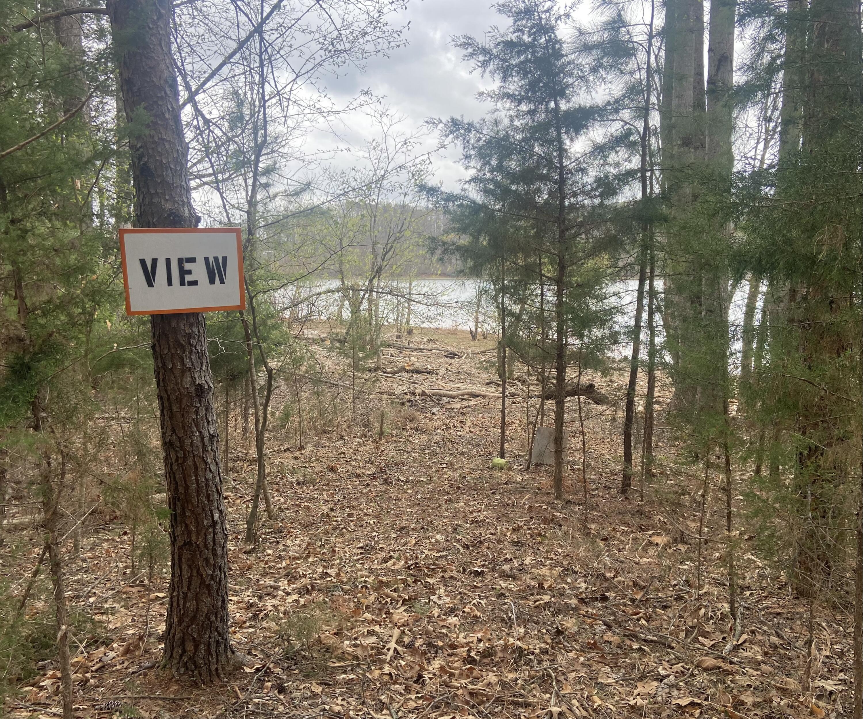 Lot 123 Island Point Dr, Gretna, Virginia image 11