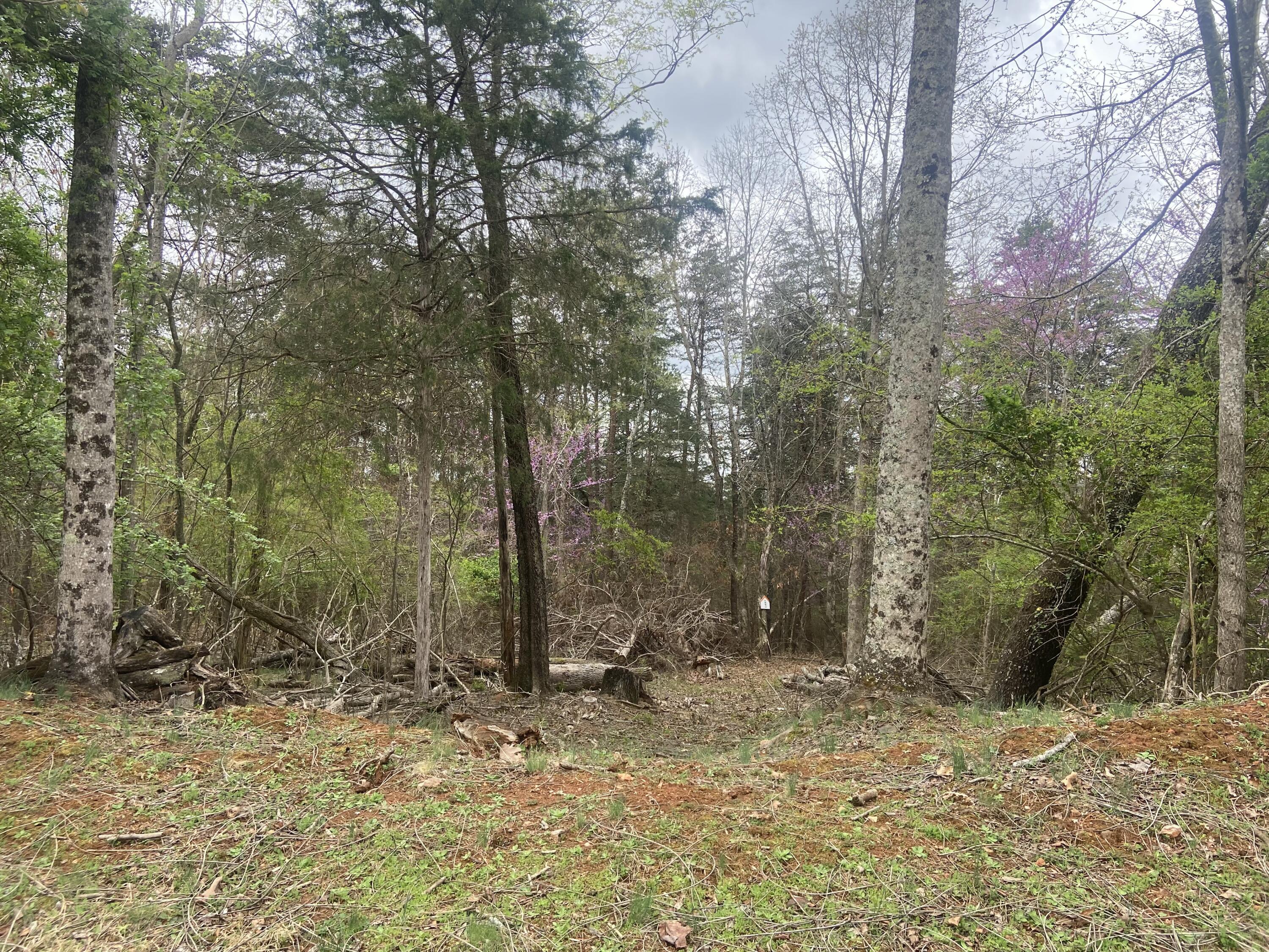 Lot 123 Island Point Dr, Gretna, Virginia image 6