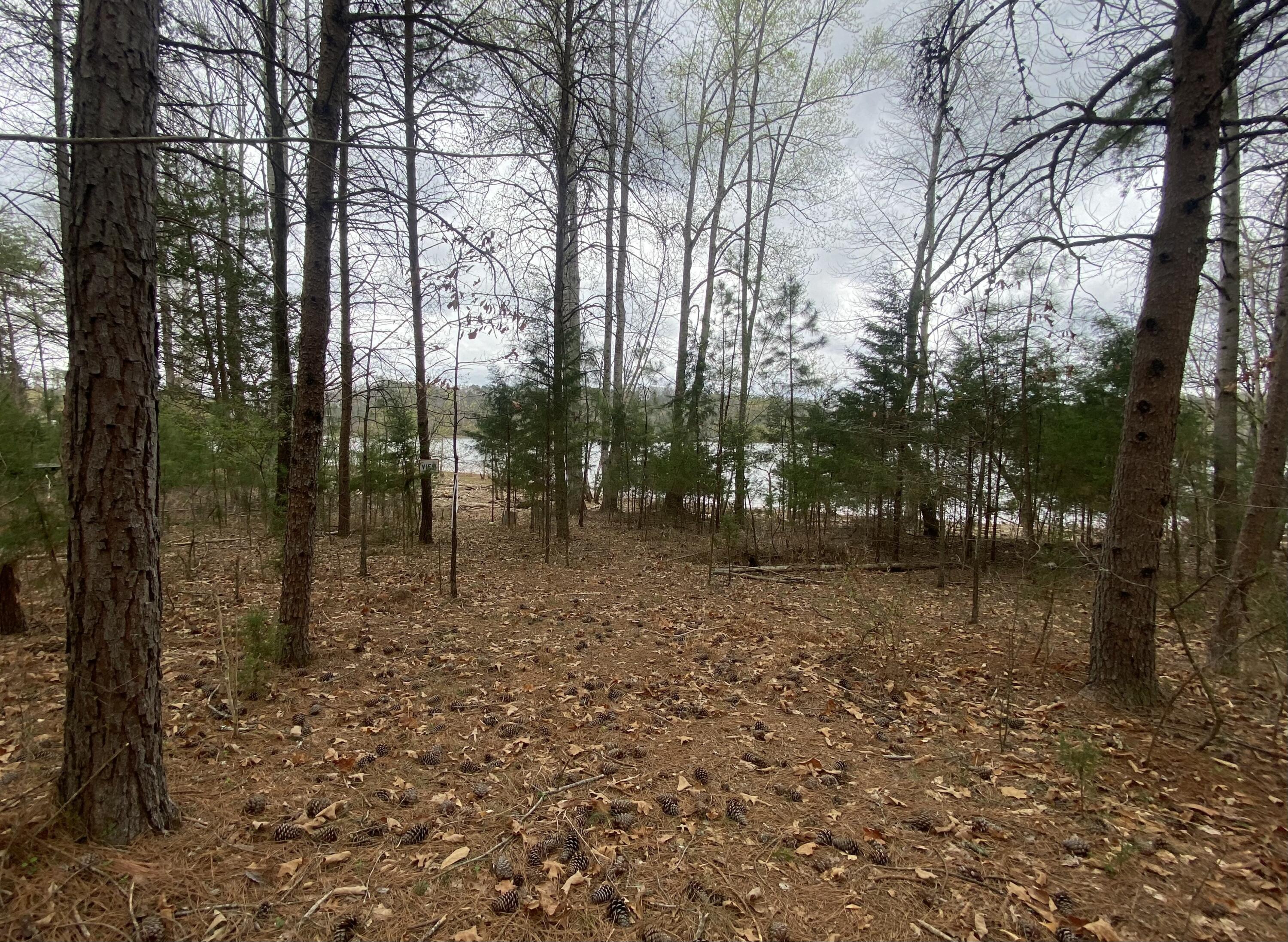 Lot 123 Island Point Dr, Gretna, Virginia image 8