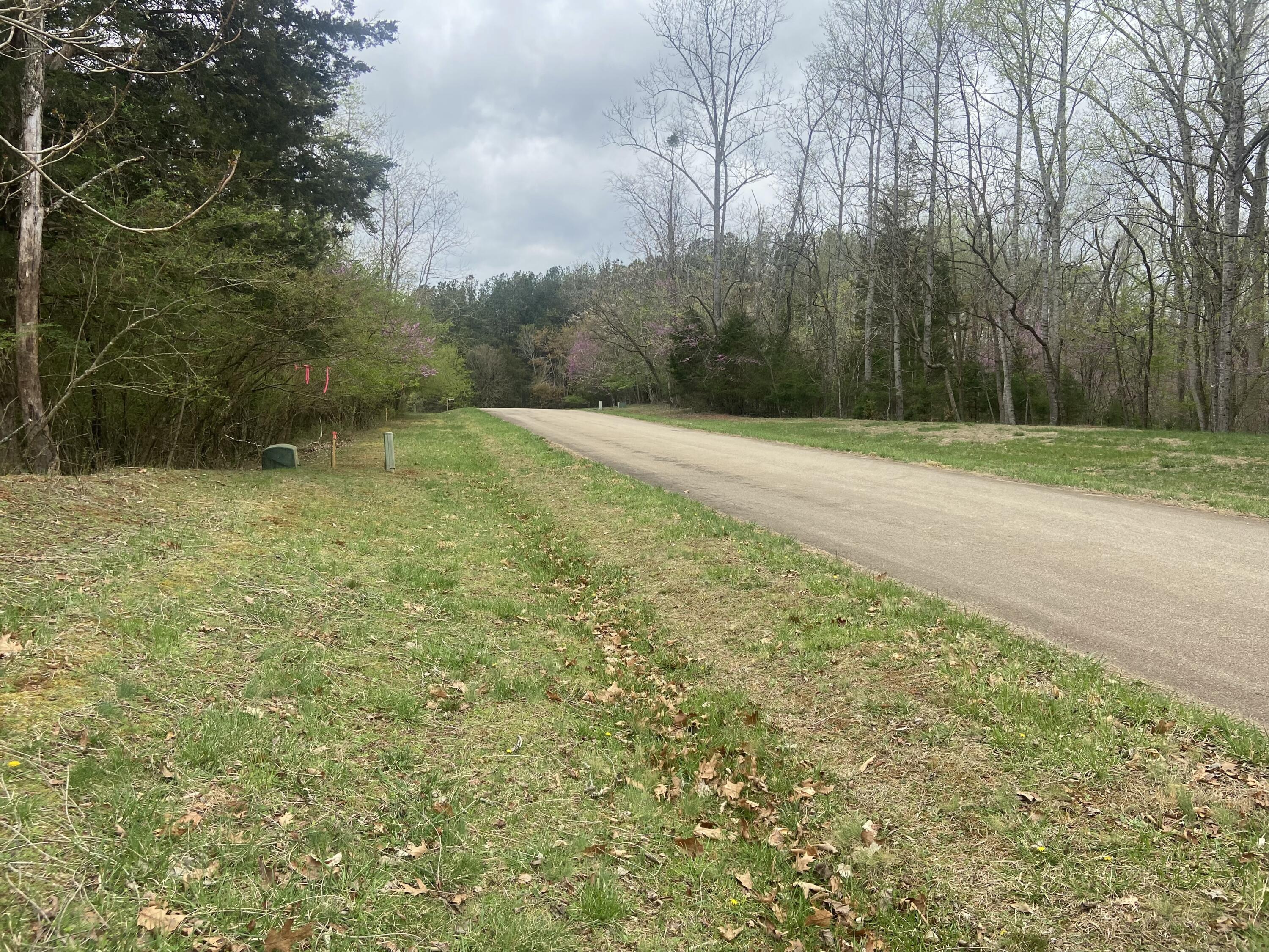 Lot 123 Island Point Dr, Gretna, Virginia image 4