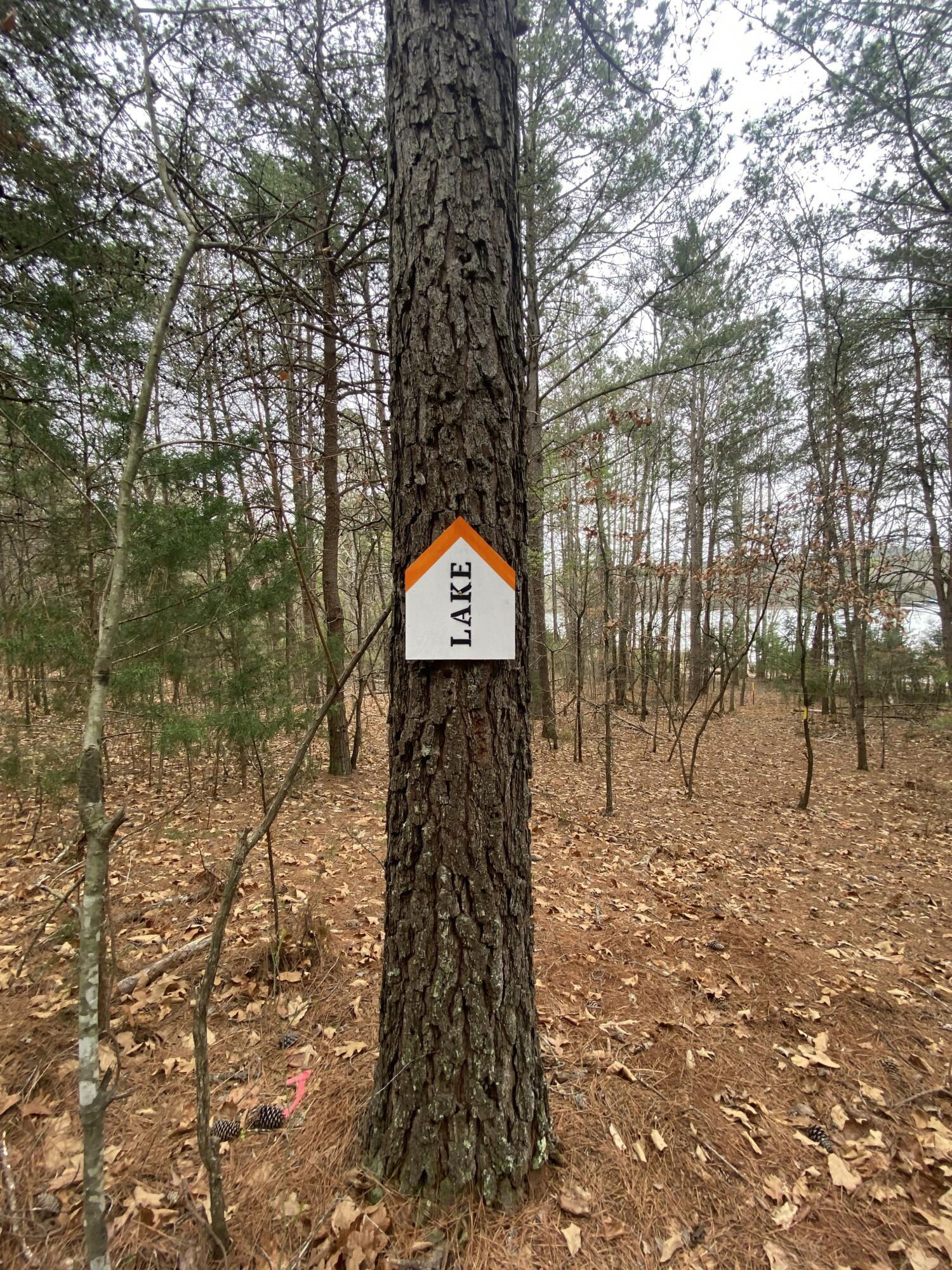 Lot 123 Island Point Dr, Gretna, Virginia image 10