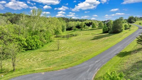 Vacant Land For Sale - LOT 10 Park Vista Dr<br/> Buchanan, VA 24066