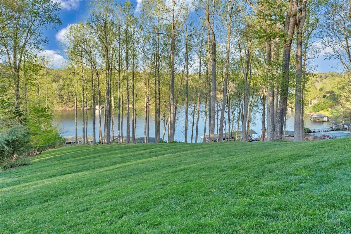 231 Mountain Cove Dr #5, Hardy, Virginia image 43