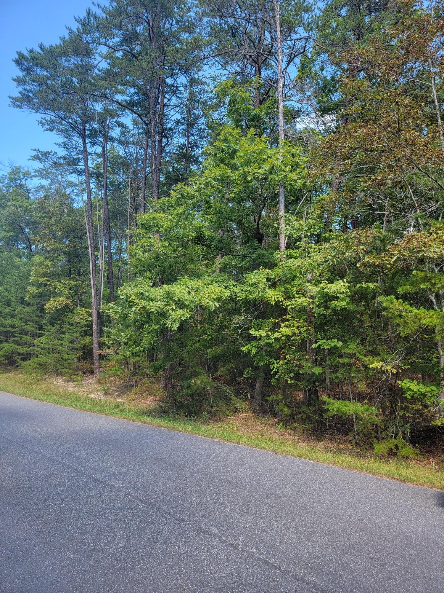 2985 New Ridge Rd, Elliston, Virginia image 2