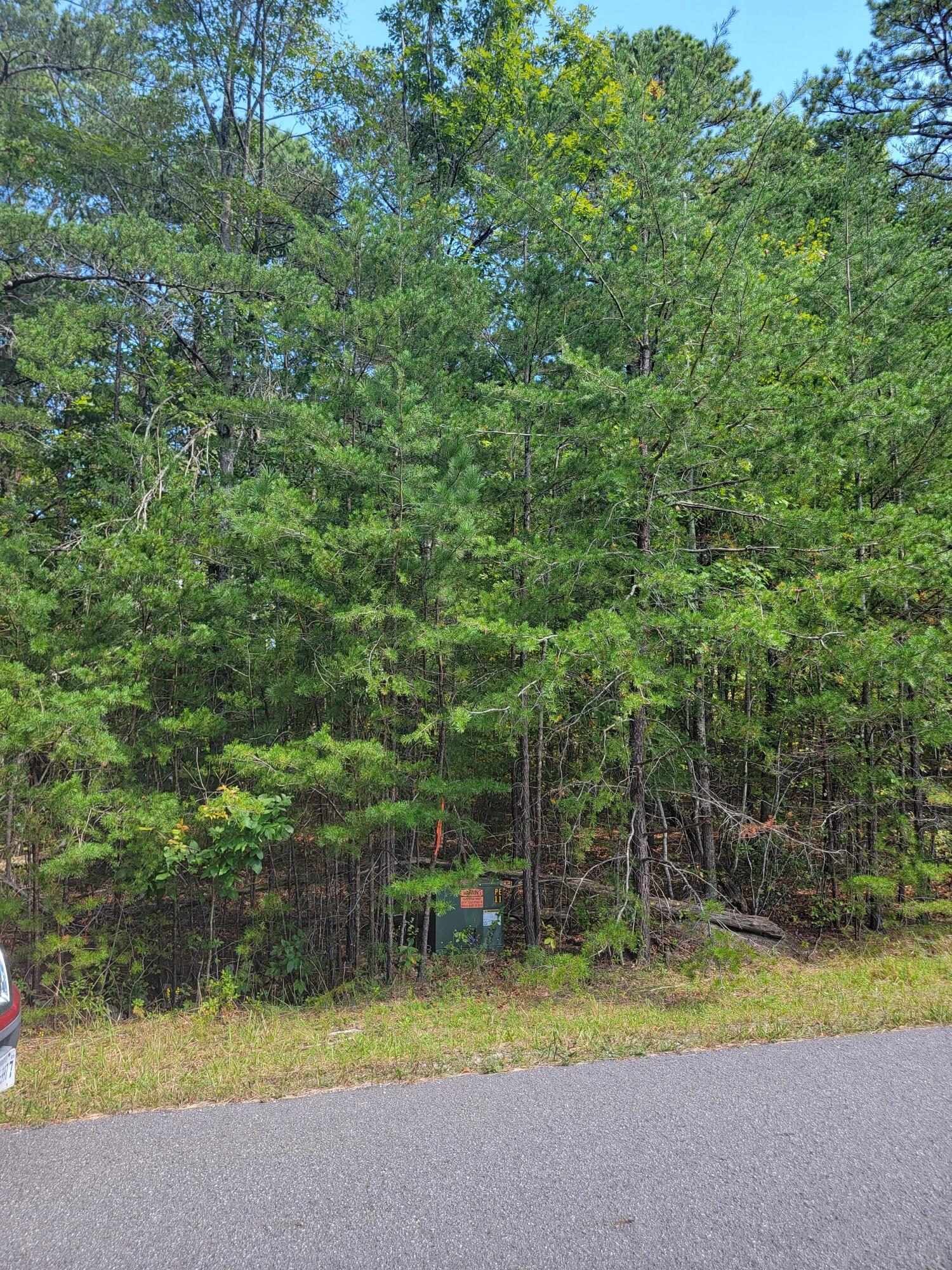 2985 New Ridge Rd, Elliston, Virginia image 1