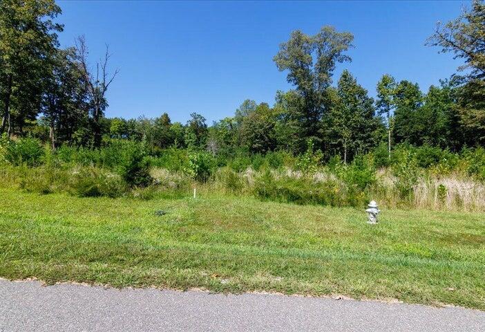 Lot 29 Jfk Blvd, Union Hall, Virginia image 20