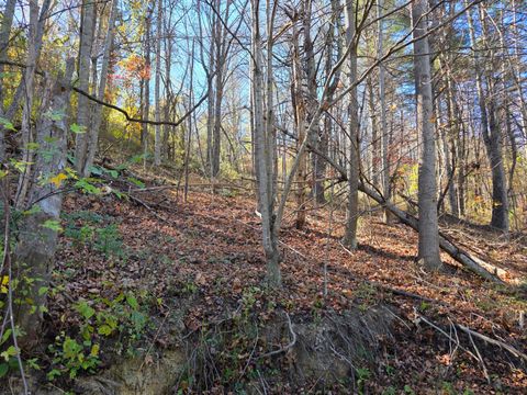 Homes For Sale - Pilot Rd<br/> Riner, VA 24149