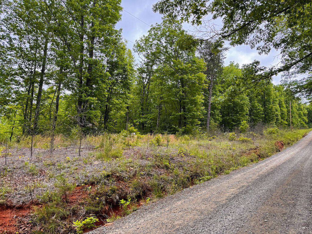Lot 4 Shortcut Dr, Woolwine, Virginia image 1