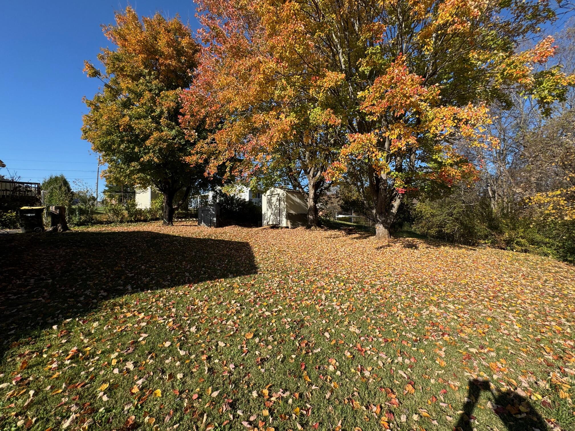 570 Scuffling Hill Rd, Rocky Mount, Virginia image 30