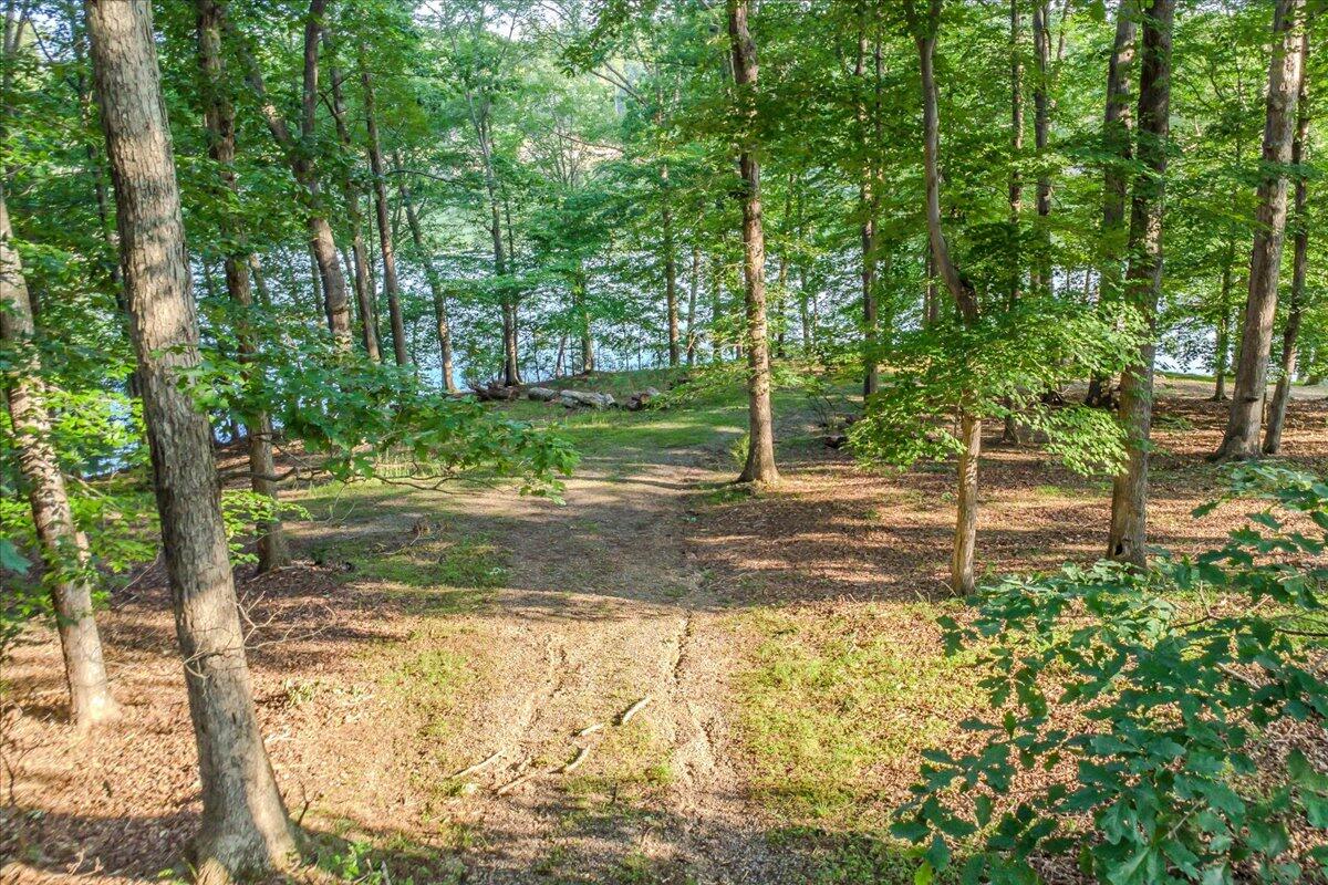 118 Woodley Rd, Moneta, Virginia image 5