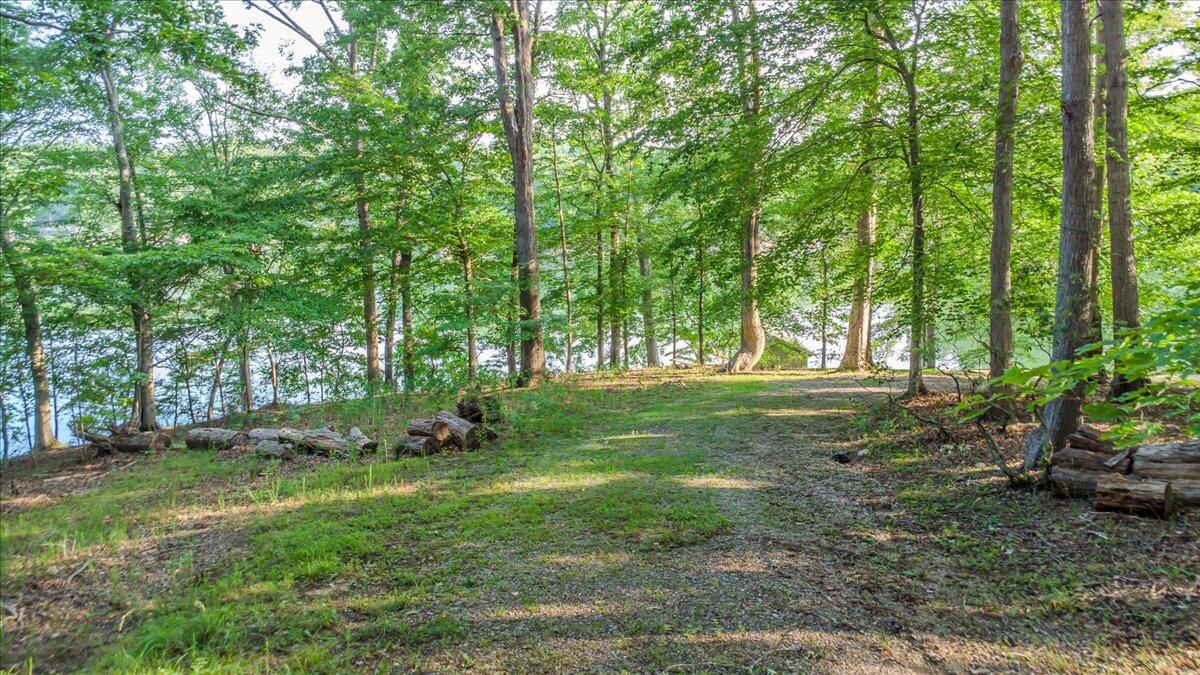 118 Woodley Rd, Moneta, Virginia image 4