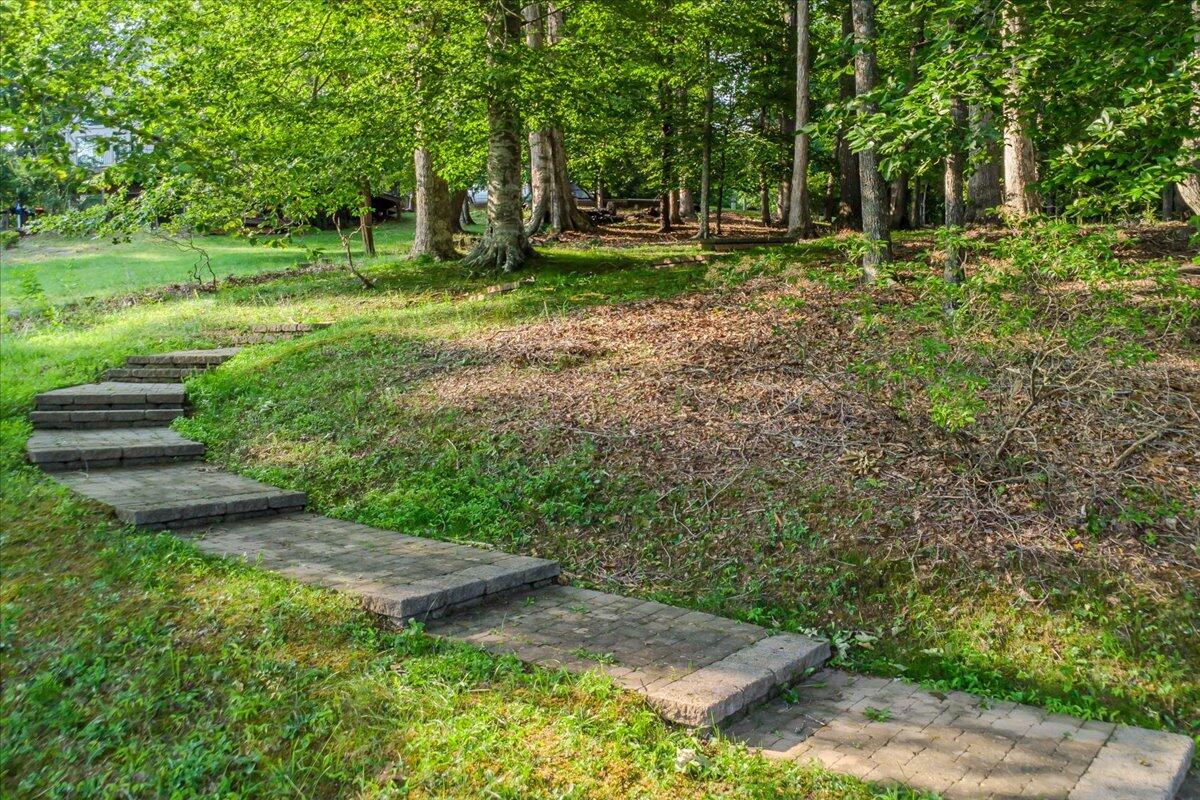 118 Woodley Rd, Moneta, Virginia image 17