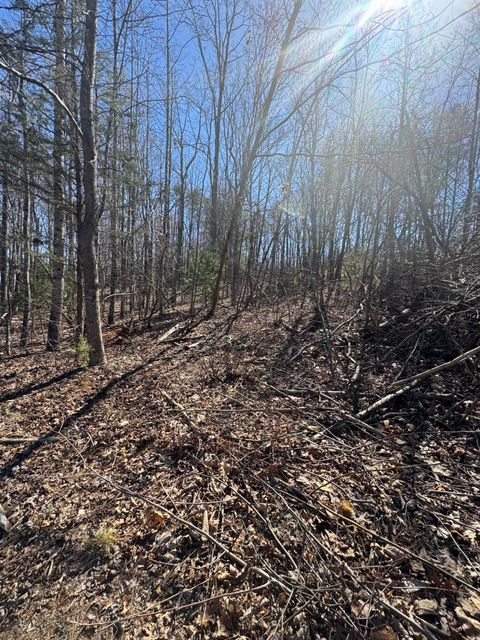 Vacant Land For Sale - LOT 7A Navajo Cir<br/> Henry, VA 24102