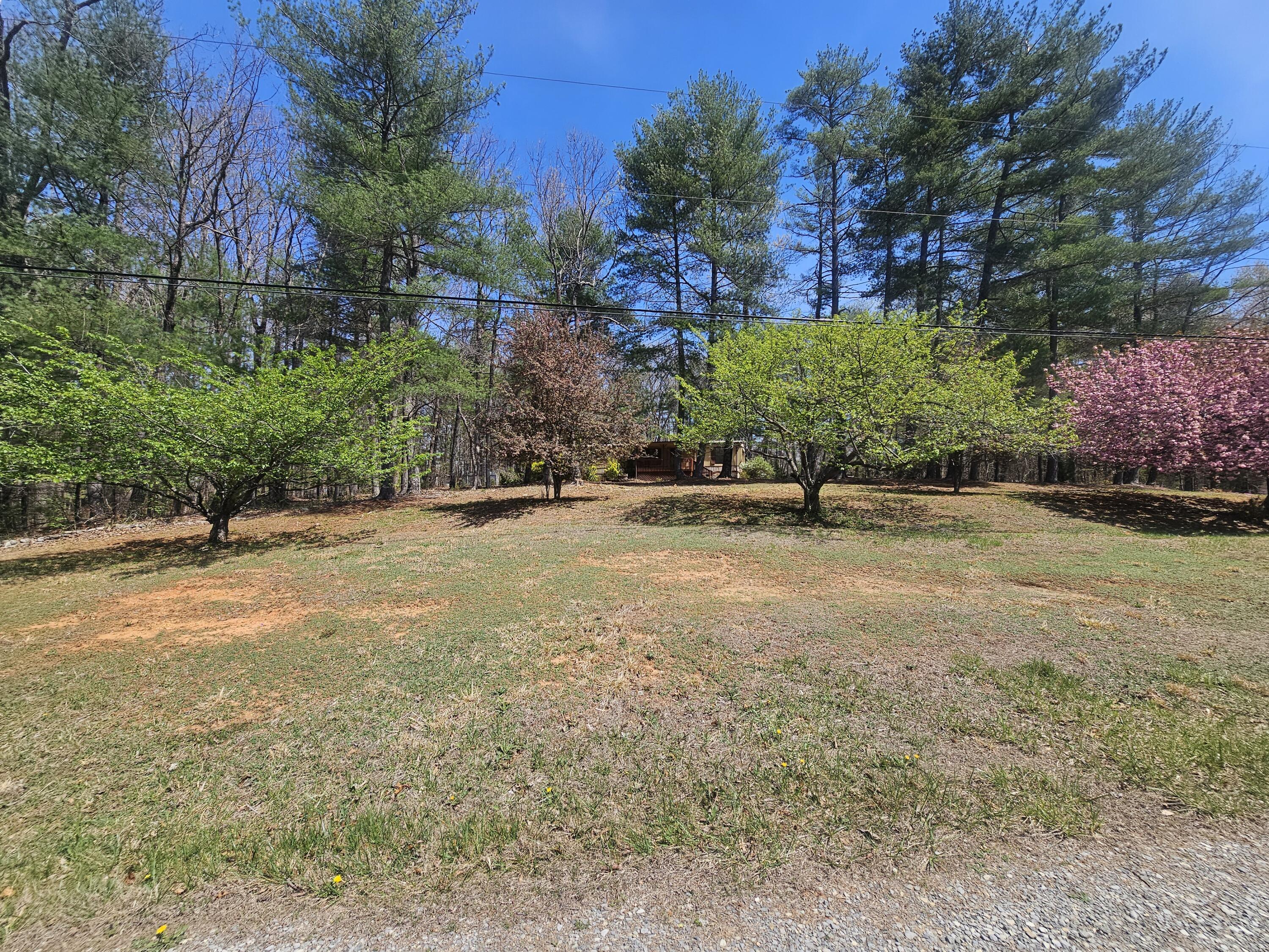 81 Lindsey Ln, Rocky Mount, Virginia image 3