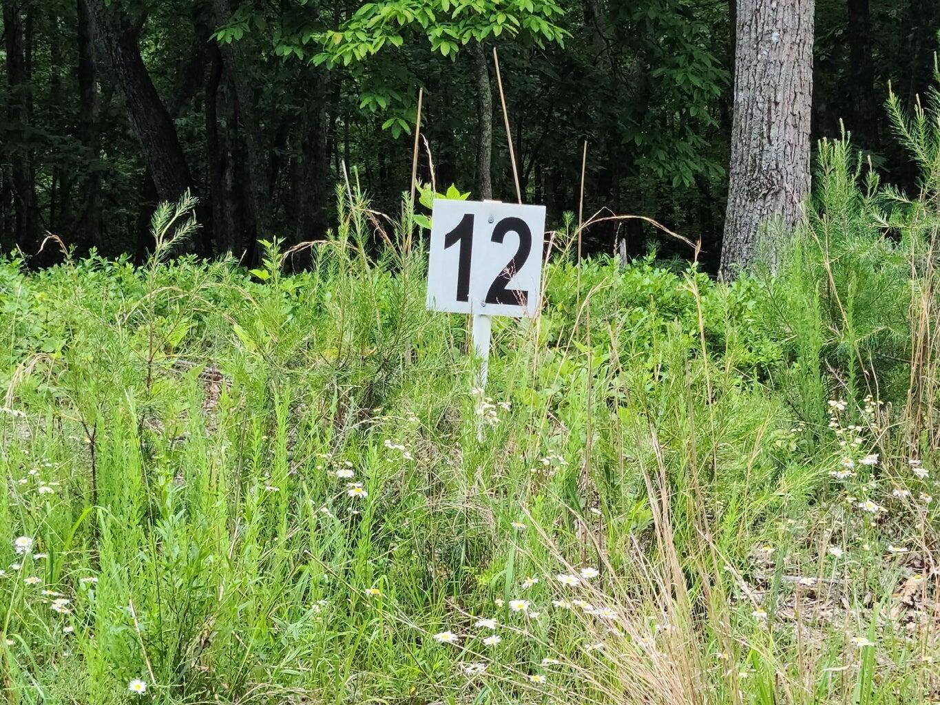 Lot 12 Belle Isle Dr, Union Hall, Virginia image 1