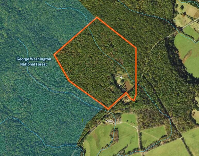 553 Big River Rd, Goshen, Virginia image 27