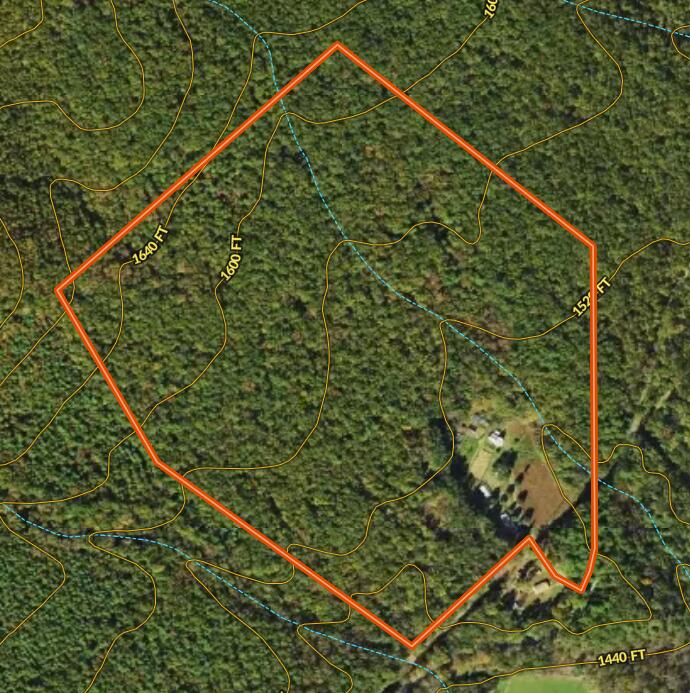 553 Big River Rd, Goshen, Virginia image 25