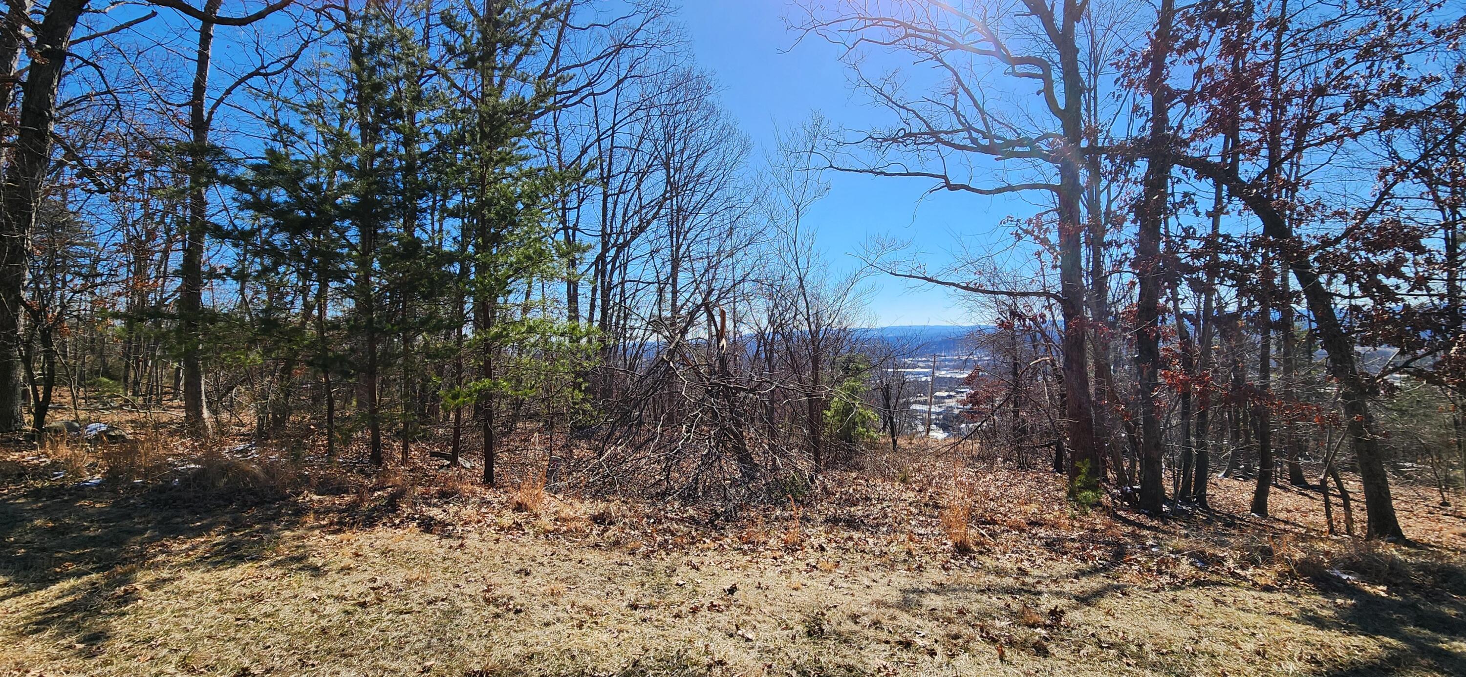 Lot 46 Summit Dr, Rocky Mount, Virginia image 1
