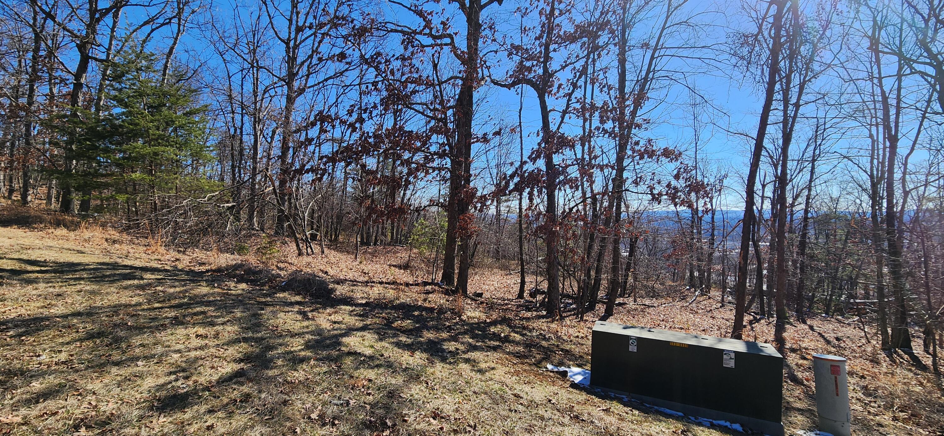 Lot 46 Summit Dr, Rocky Mount, Virginia image 2