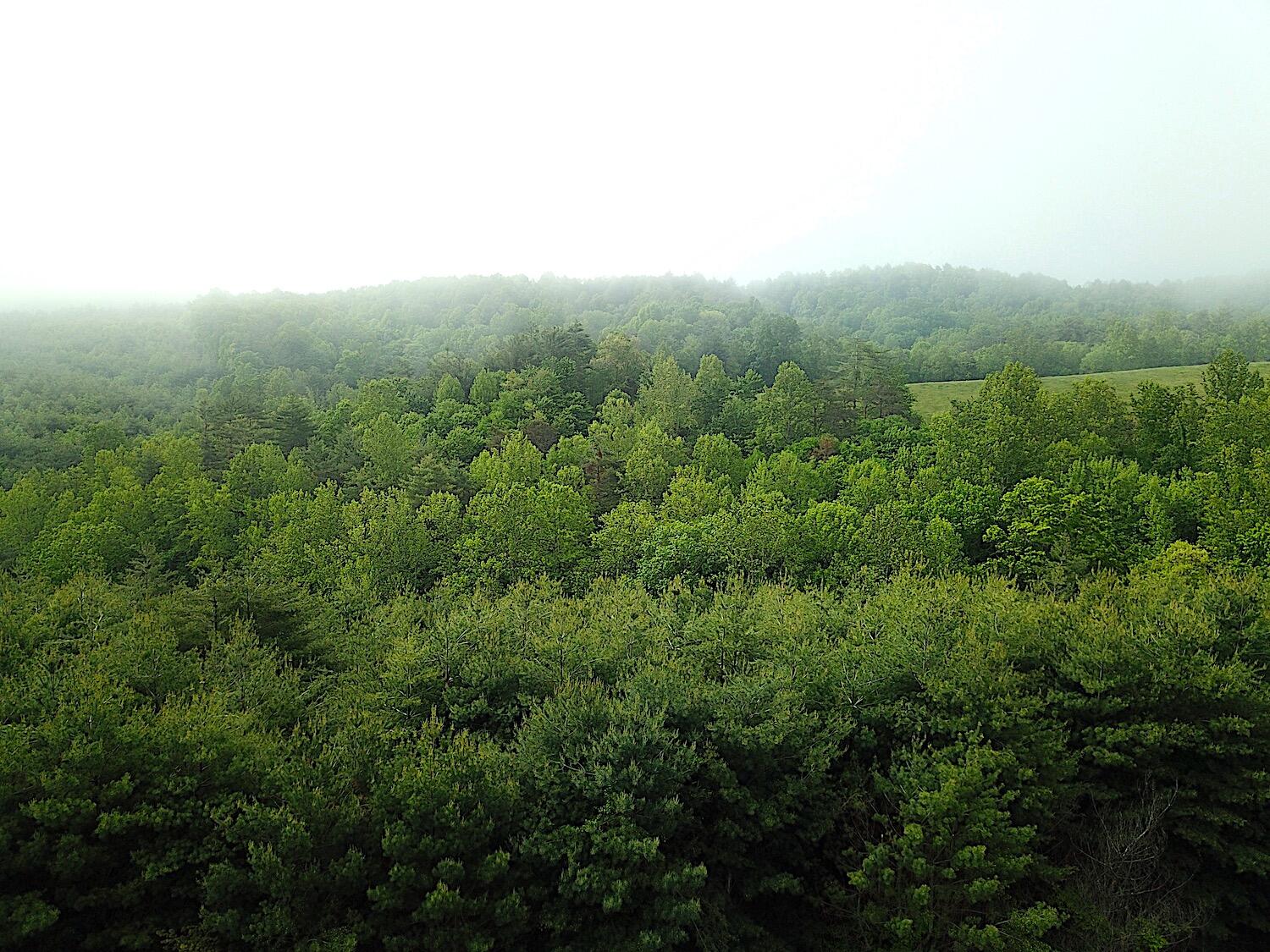Easter Creek Rd, Riner, Ohio image 5