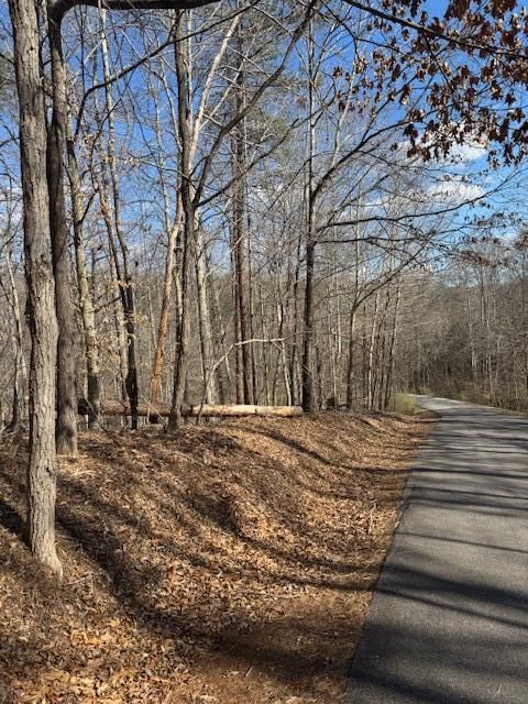 Vacant Land For Sale - LOT 1 Gap Bridge Rd<br/> Moneta, VA 24121