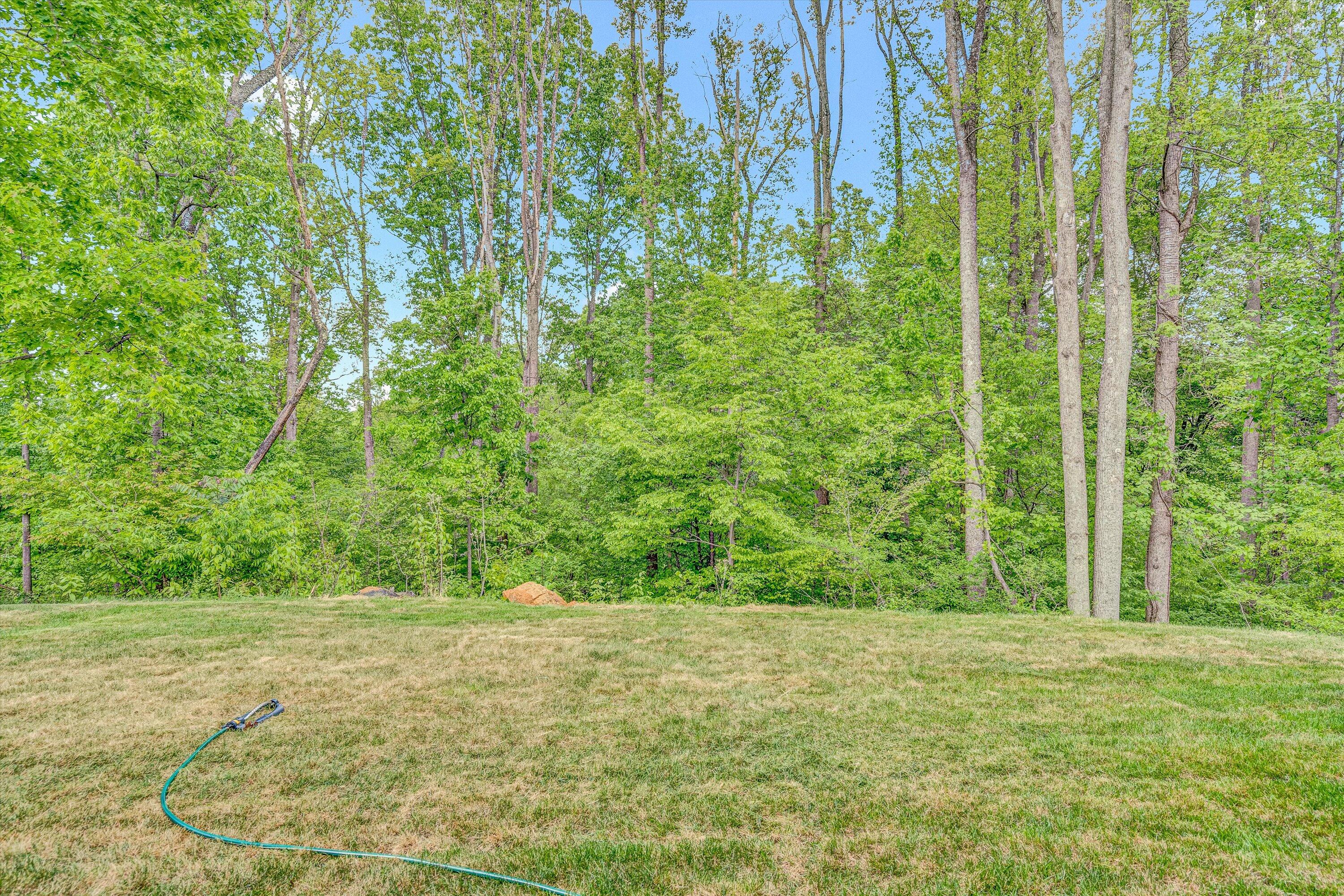 1825 Parker Ln, Vinton, Virginia image 29