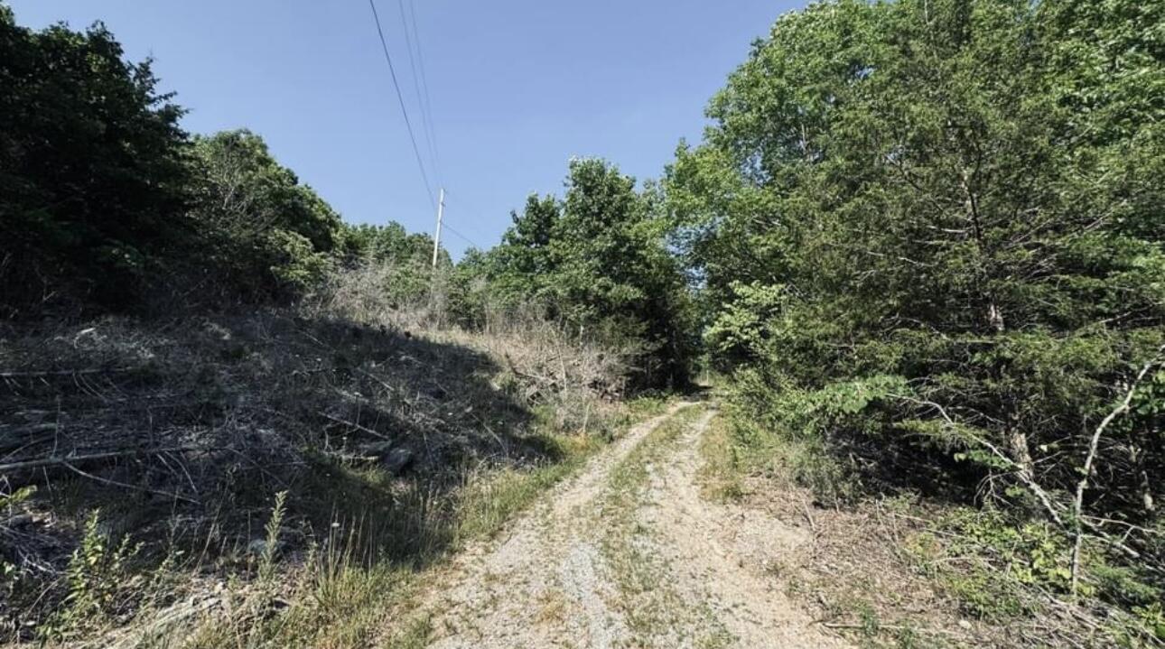 TBD Martin Farm Rd, Cedar Bluff, Virginia image 5
