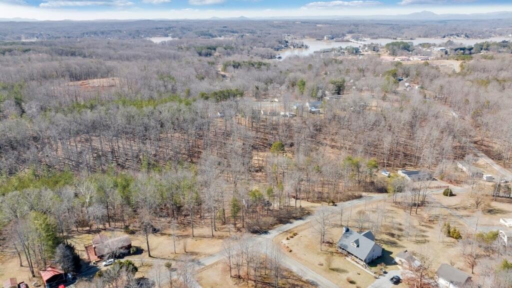 407 Spinnaker Way, Moneta, Virginia image 38