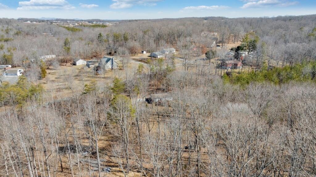 407 Spinnaker Way, Moneta, Virginia image 44