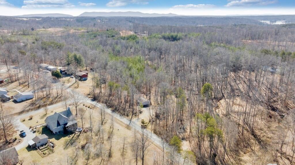 407 Spinnaker Way, Moneta, Virginia image 40
