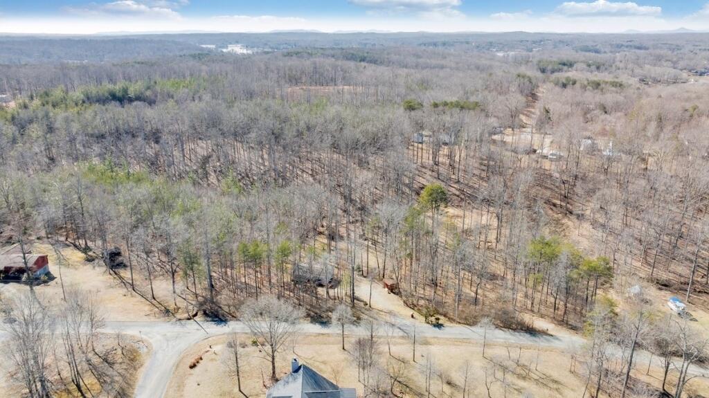 407 Spinnaker Way, Moneta, Virginia image 39