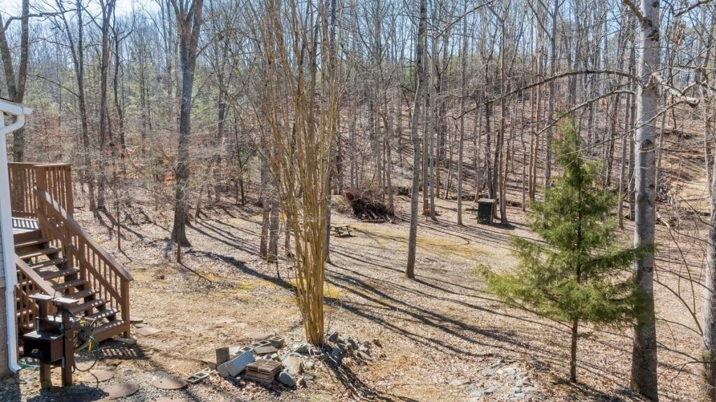 407 Spinnaker Way, Moneta, Virginia image 22