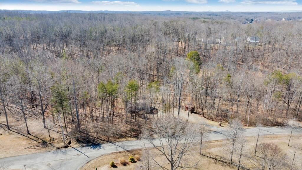 407 Spinnaker Way, Moneta, Virginia image 46