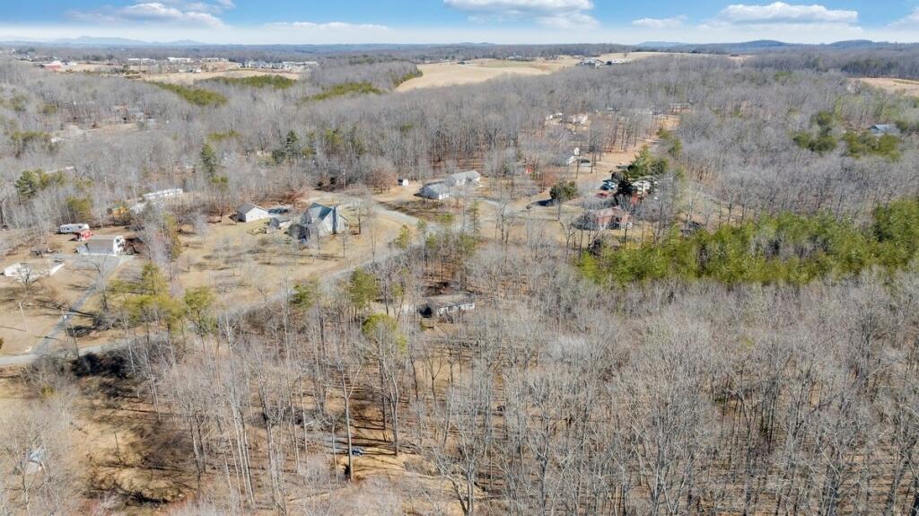 407 Spinnaker Way, Moneta, Virginia image 42