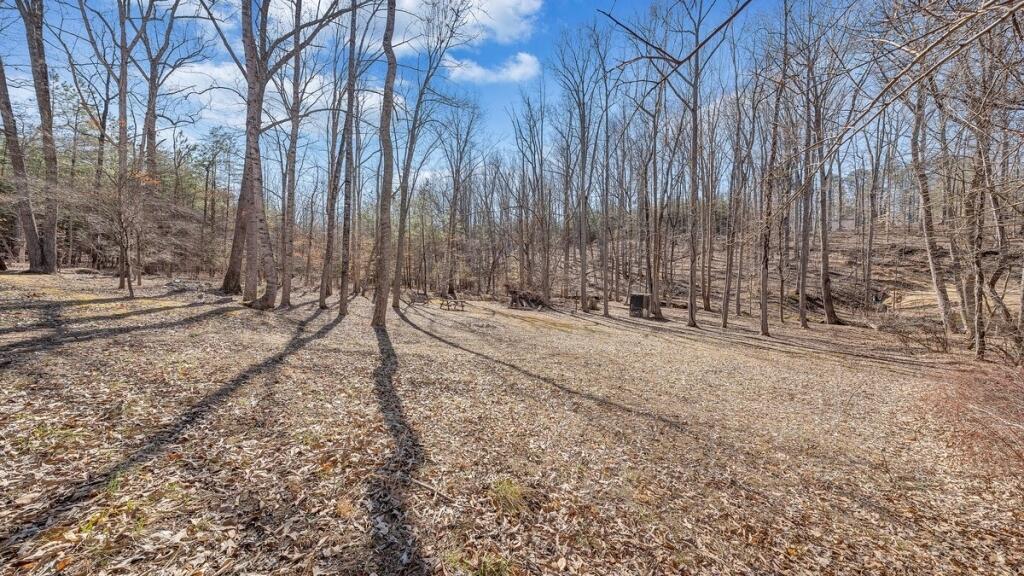 407 Spinnaker Way, Moneta, Virginia image 34