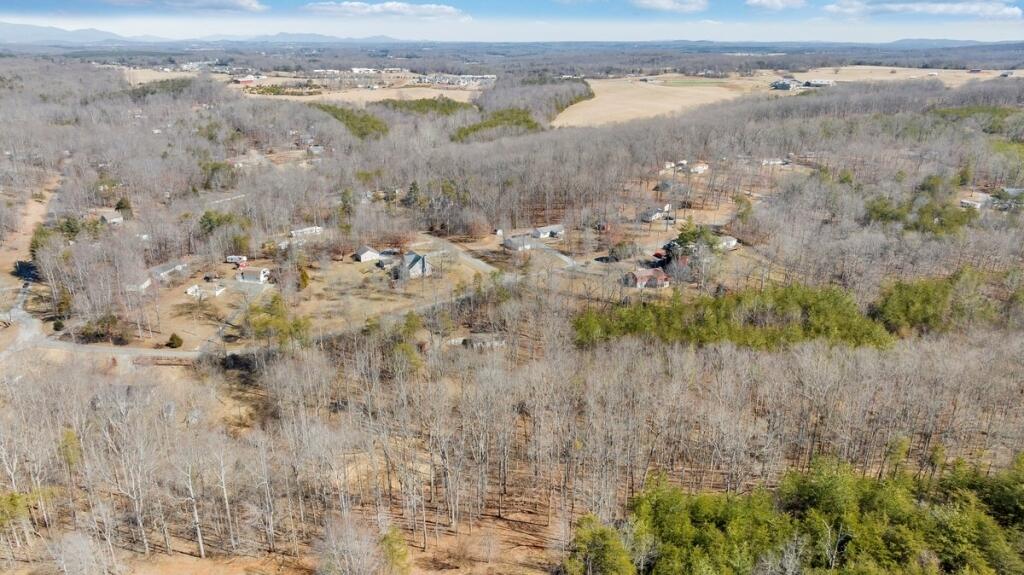 407 Spinnaker Way, Moneta, Virginia image 36